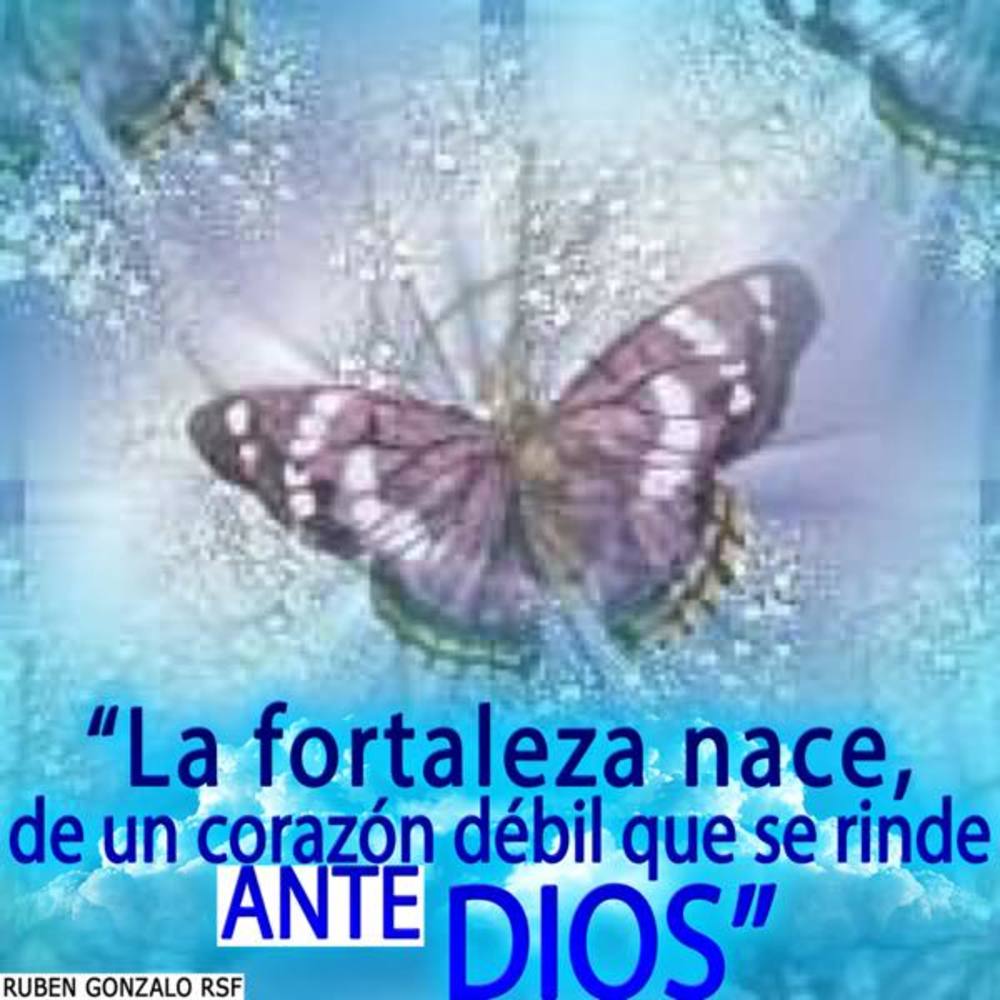 Meet your Posher, Iris